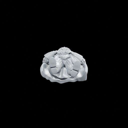 Exact front render