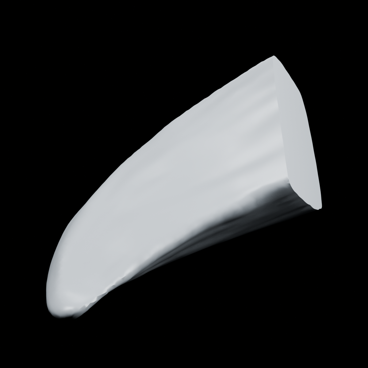 Cut_Horn.stl — front