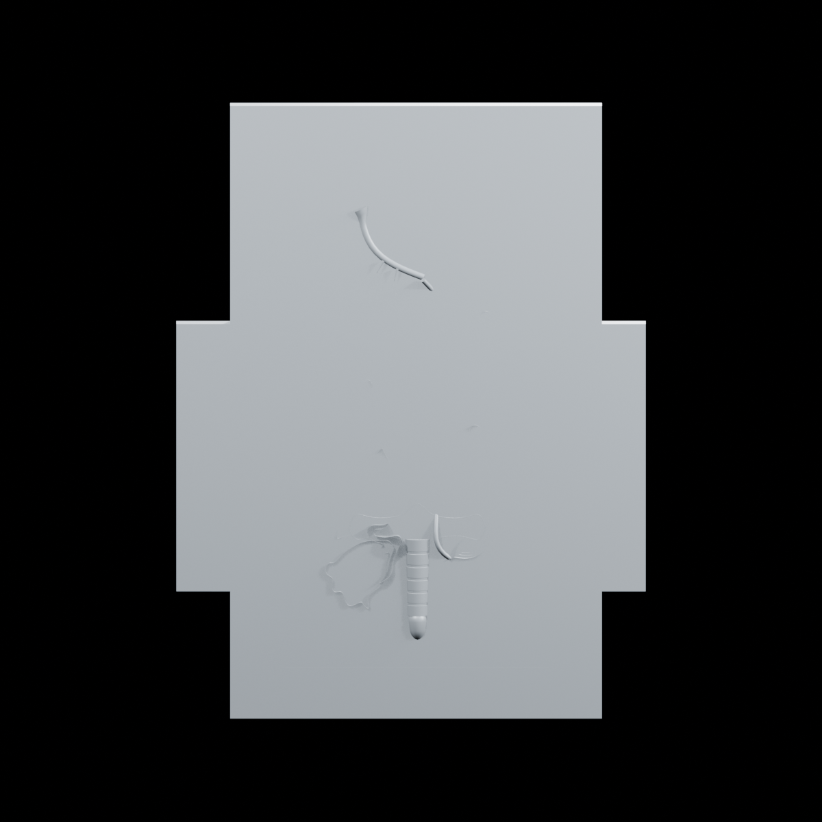 Exact front render